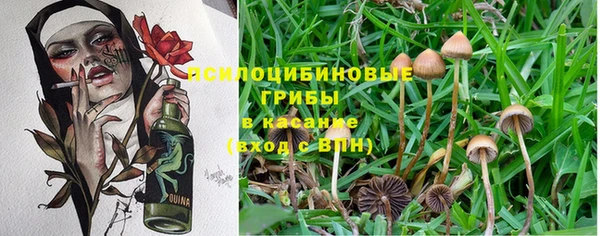 мдпв Горнозаводск