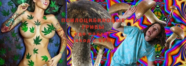 Альфа ПВП Горно-Алтайск