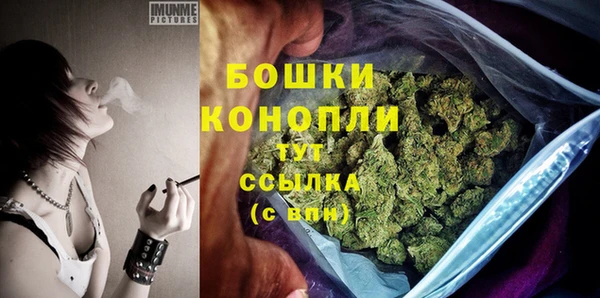 Альфа ПВП Горно-Алтайск
