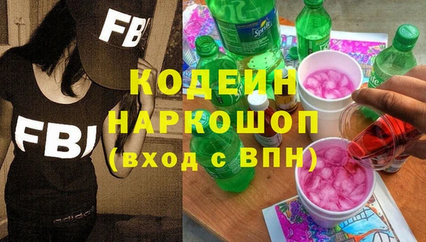 мдпв Горнозаводск