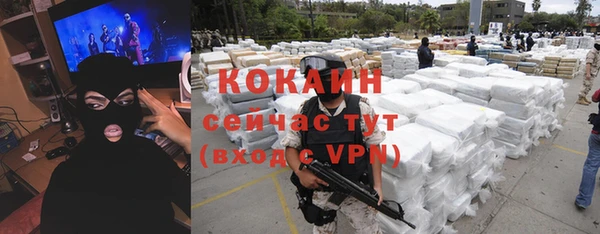 мдпв Горнозаводск