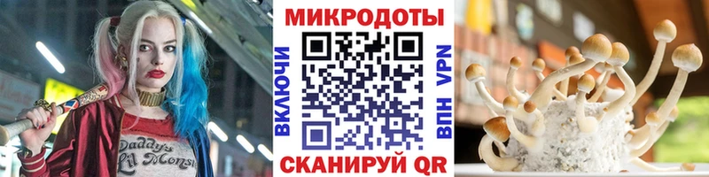 Галлюциногенные грибы мухоморы Пойковский