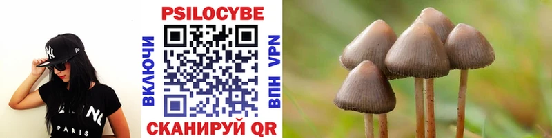 Псилоцибиновые грибы прущие грибы Пойковский